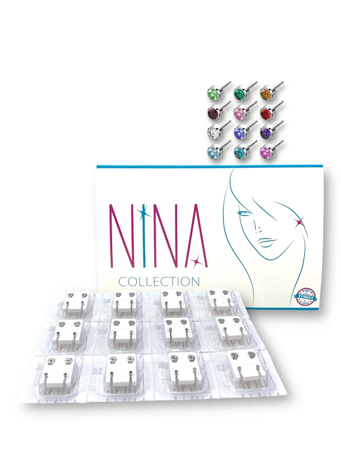 Nina Silver Earrings Assorted Gems Small